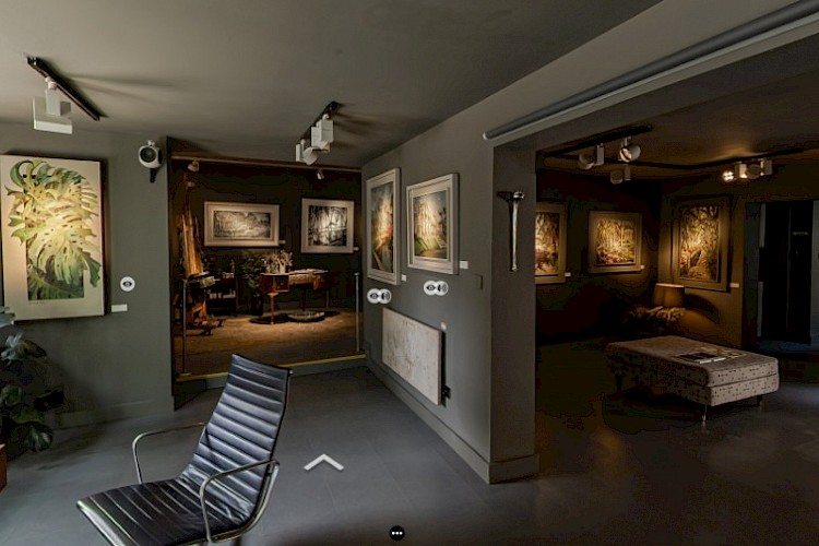 Virtual Tour - Botanical Fusion exhibition